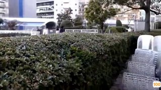 瑜伽教练培训学校丝袜肥熟6